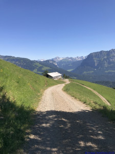 KAC Gaissau Kräuterwanderung 2019 06 29 16 35 56  3439